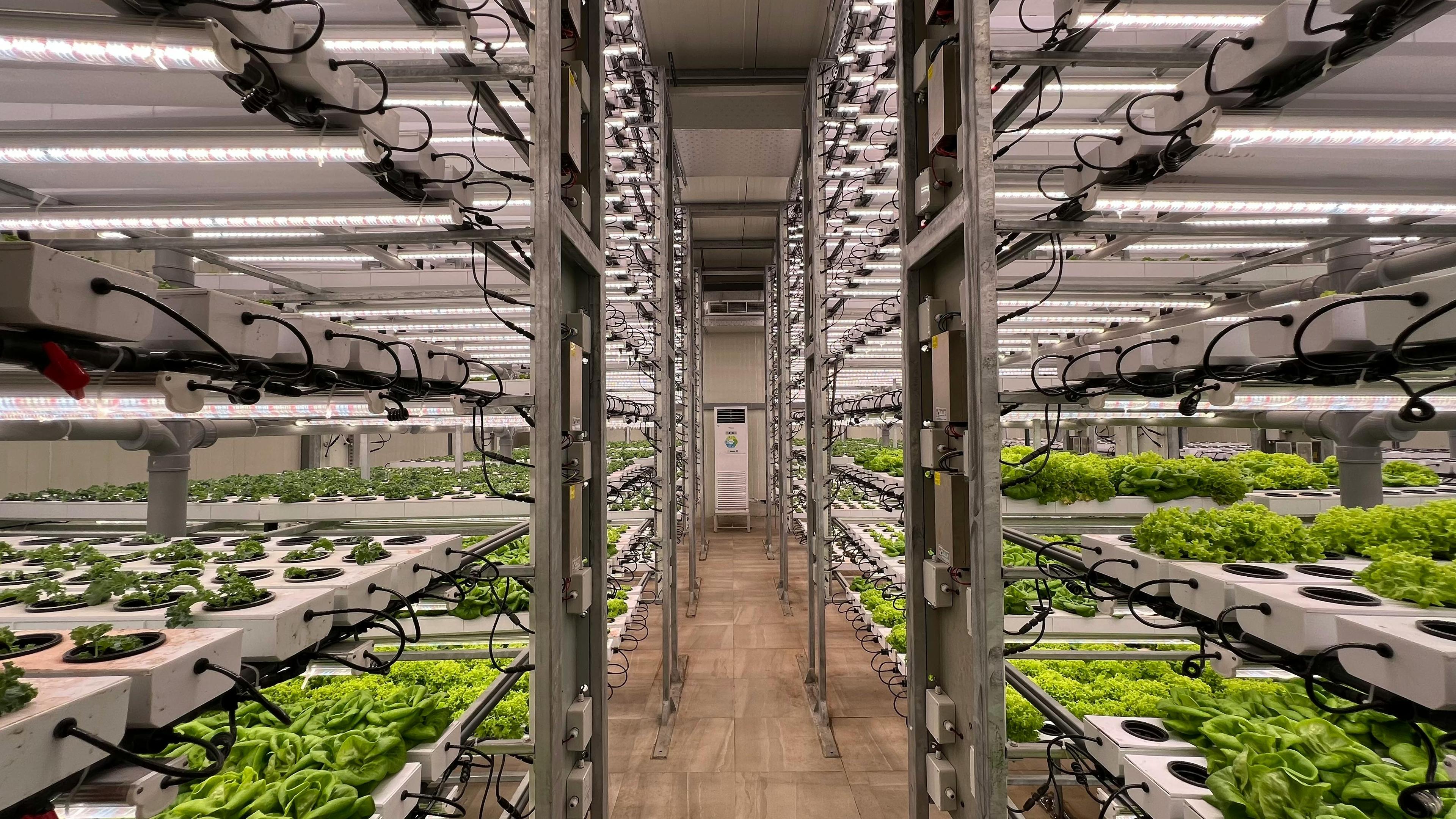 Indoor agricultural operations environment